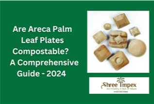 Are Areca Palm Leaf Plates Compostable ? A Comprehensive Guide – 2024 thumbnail